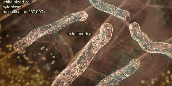 1680073773498756.png 7814d75e806700894c77aa7f9ed6db2.png