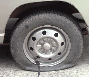 1727733119795611.gif 12.gif