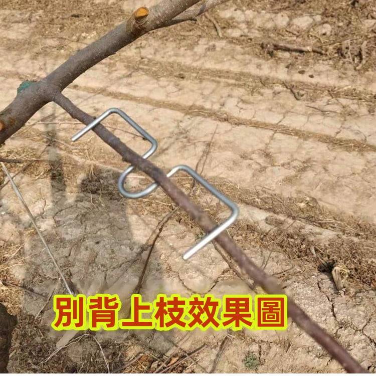 1733402516822574.jpg 7d811166799a4b5c881113b5a5590dad.jpg