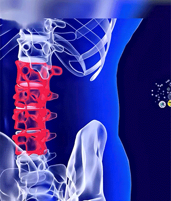 1755621096426250.gif c0e3a7321d8328b8afc2f6f02d14472b.gif